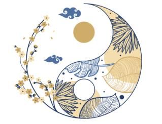 img - Stage Yoga Qi Gong